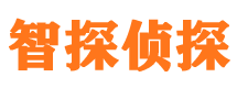 巴彦寻人公司